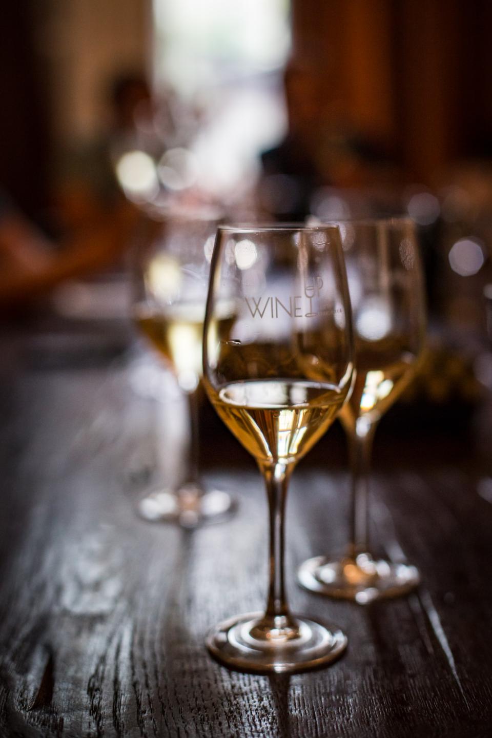 Curs de inițiere în degustarea vinului - HoReCa only.
