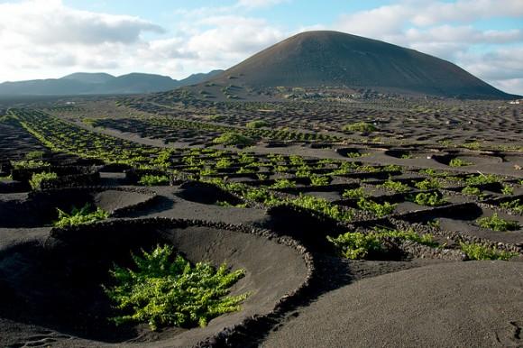 Extreme viticultural regions! Extreme Wines!