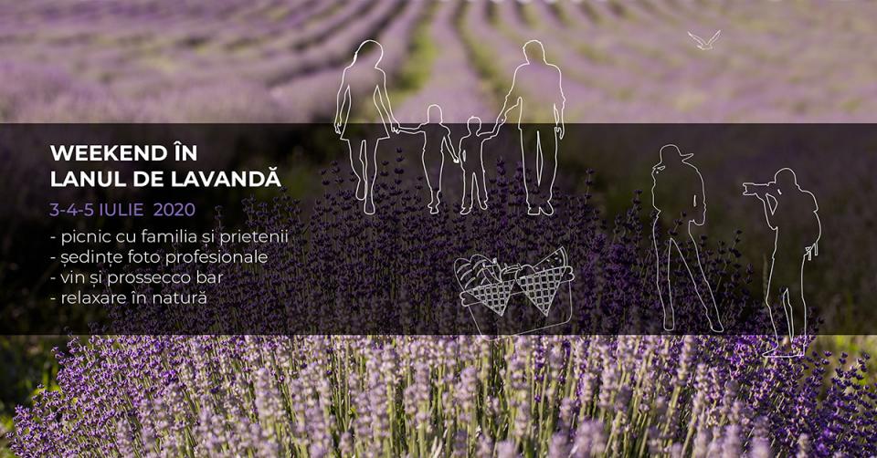 Weekend în lanul de lavandă