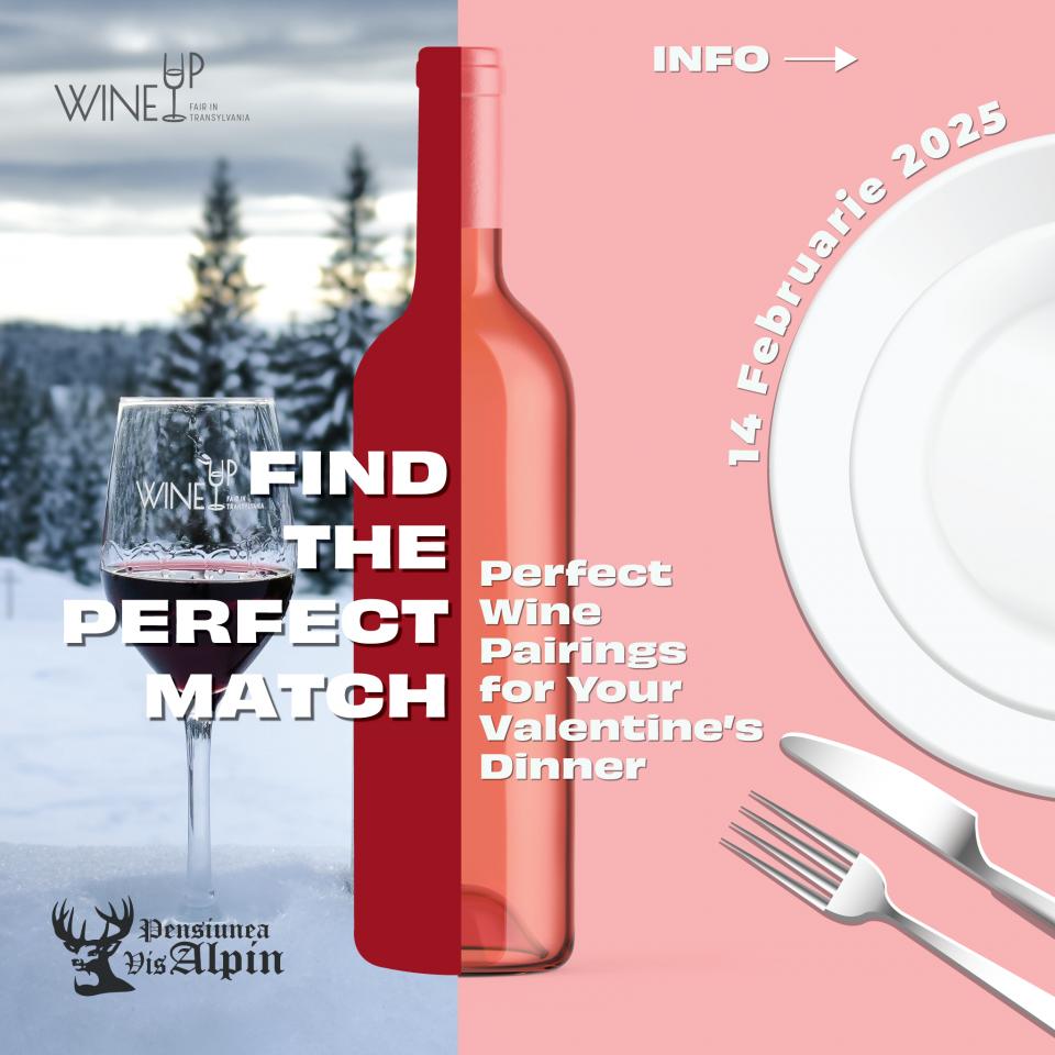 Find The Perfect Match